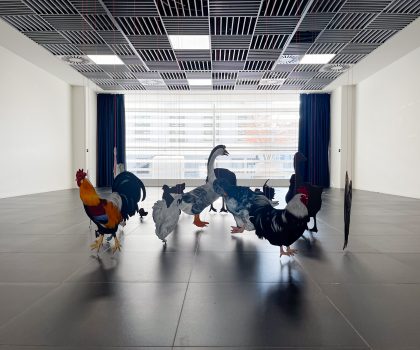 Questa è la mia aia