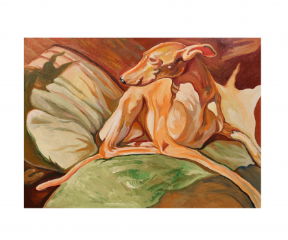 Cane randagio del pomeriggio