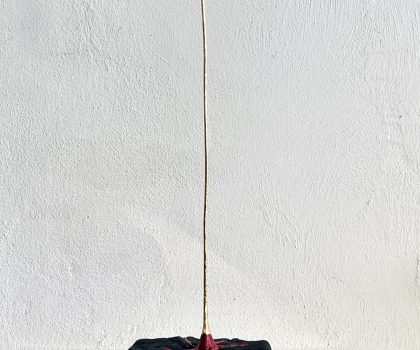 The First Grain Of Wheat (Il Primo Chicco di Grano) – Serie-progetto “HARVEST”