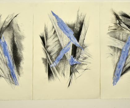 Segni e Contraddizioni 1