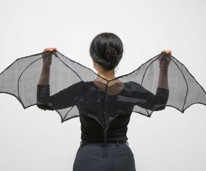 il pipistrello si crocifigge da solo