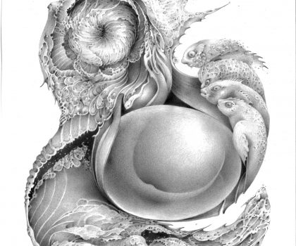 Metamorfosi