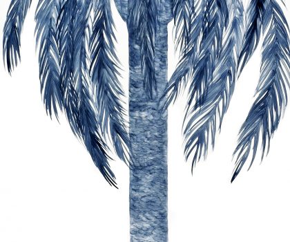 Blue palm