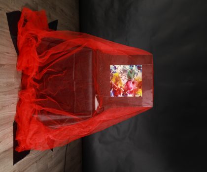 Liturgia della macchina velata