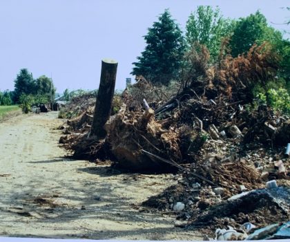 Non ci sei più e mi manchi