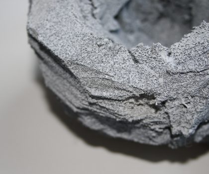 Would you like a cup of me? / The Elephant in the Living room