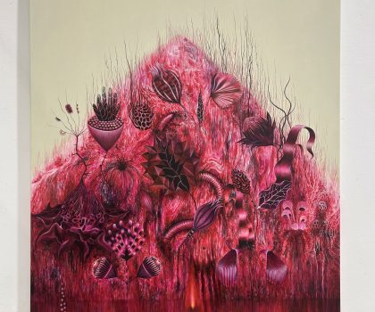 Post naturalia (Rubrum) + 10 tavole dell’Herbarium Neraria