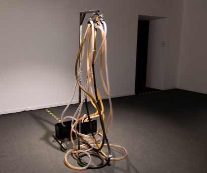 Non so fare altro che vivere