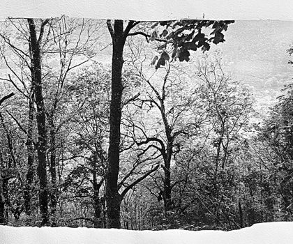 senza nome n.31 dalla serie  di-vento