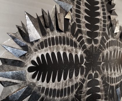 Atrivulva quadridens