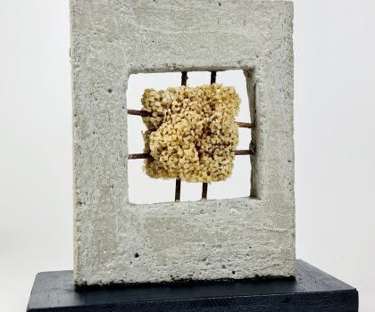 TRAPPOLA DI GRIGIO-SCHIUSE