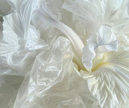 Fiore di plastica – Iris Barbuto