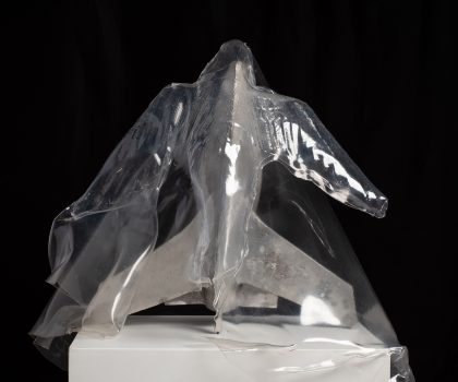 Sotto il Velo di Maya