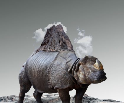 Zoologia fantastica- Rhino