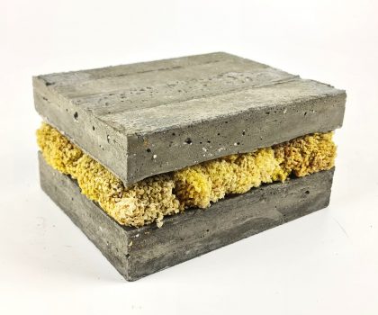 LA PRESSIONE DEL PROGRESSO