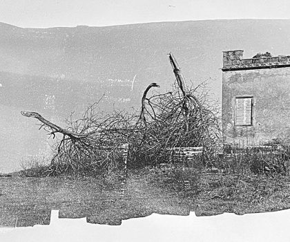 senza titolo n.39 dalla serie  di-vento