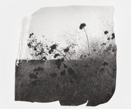 senza titolo_(di-vento)#16