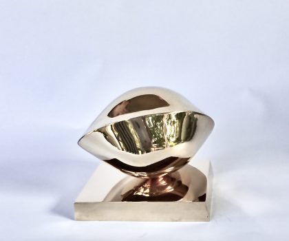 Seme di Ginko Biloba