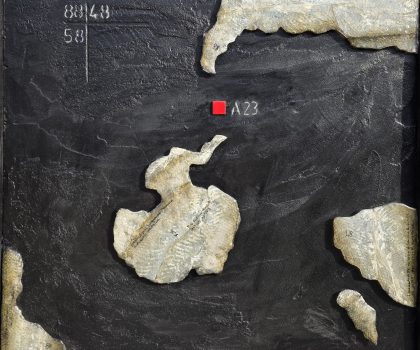 DERIVE – ANTARTICO