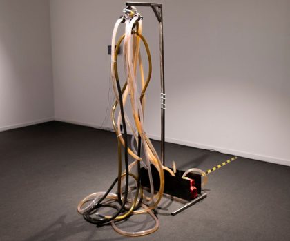 Non so fare altro che vivere