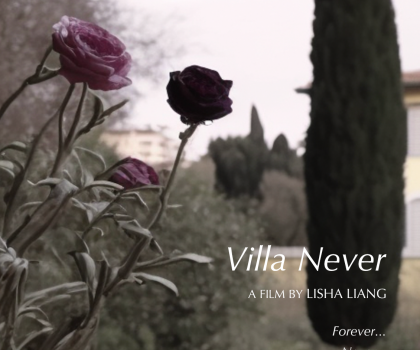 Villa Never