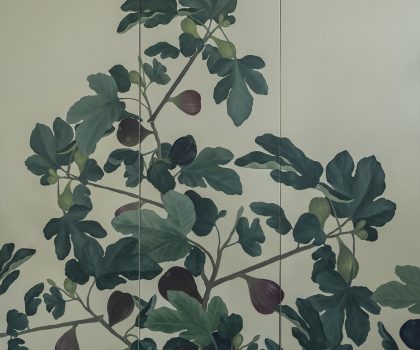 Klon / Ficus Carica