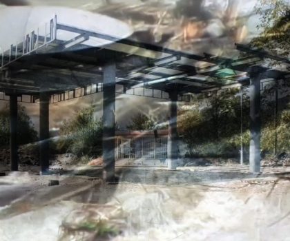 la terza intelligenza