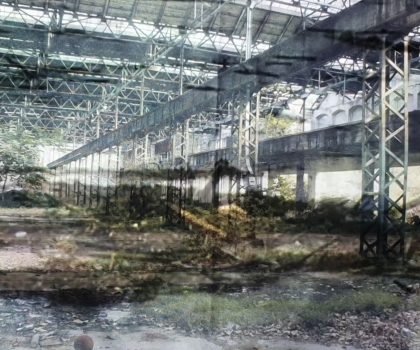 la terza intelligenza