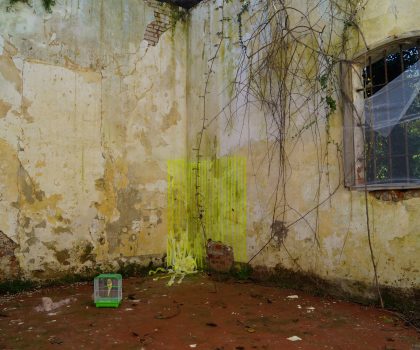 Istante super-fluo (Se sei fatto per volare, vola)