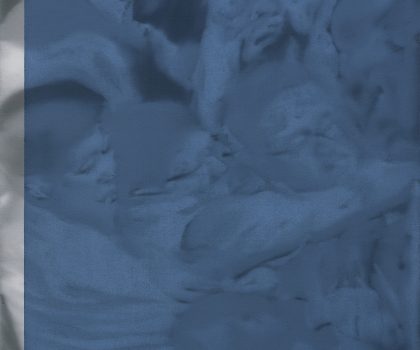 Hands of parliament – how to destroy an image in three steps (1)