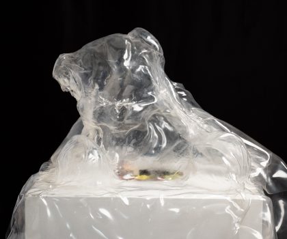 L’infanzia che non c’è