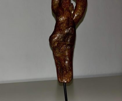 Venere corsa