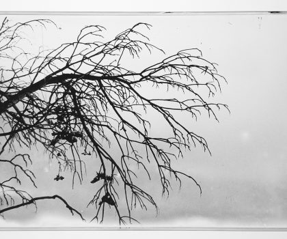 senza titolo n.48 su vetro dalla serie  di-vento