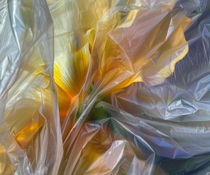 Fiore di Plastica – Hibiscus2