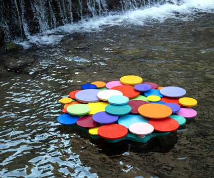 fior d’ acqua