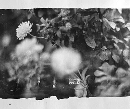 senza titolo n.32 dalla serie   di-vento