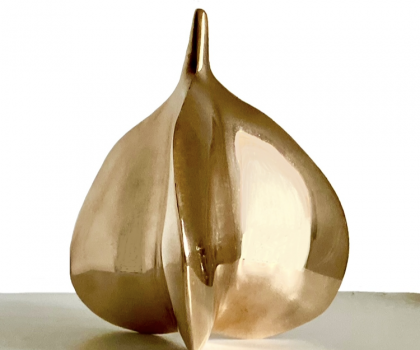 Seme di Aglio Selvatico