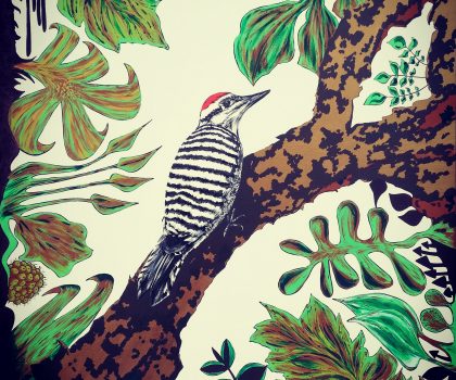 Texas’ Woodpecker