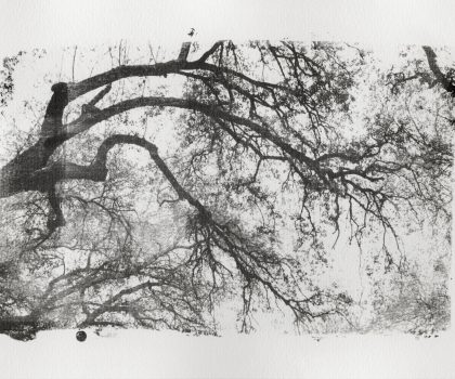 senza titolo_(di-vento)#05