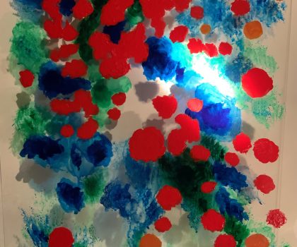 Trasparenze in dissolvenza n° 3