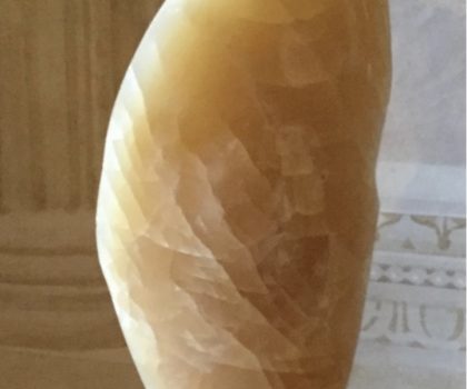 Seme di Ailanthus