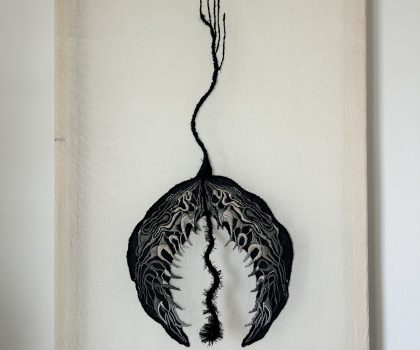 Cinerea Inversa Seminifera