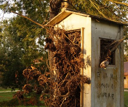 Il senso di tutto questo (autoritratto)