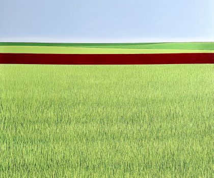 The Rise of Wheat (La Rinascita del Grano) – Serie-progetto “HARVEST”