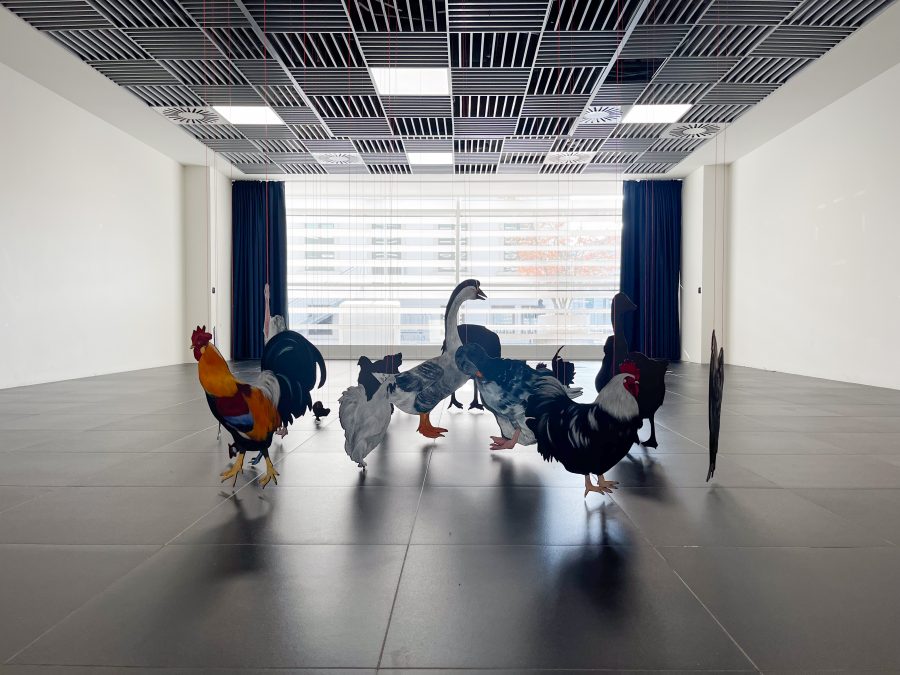 Questa è  la mia aia