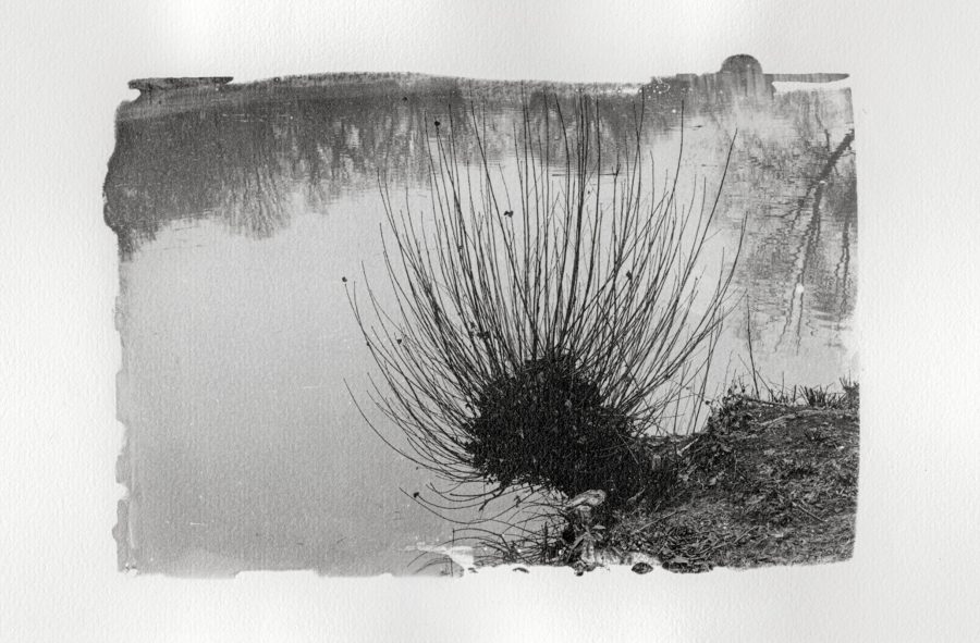 senza titolo_(di-vento)#09