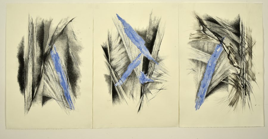 Segni e Contraddizioni 1