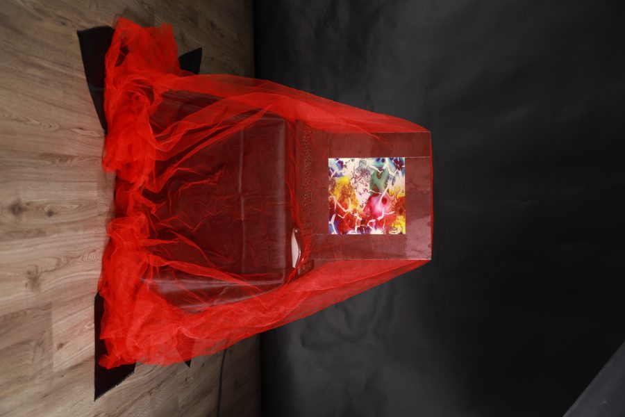 Liturgia della macchina velata