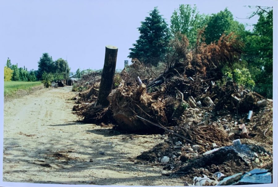 Non ci sei più e mi manchi