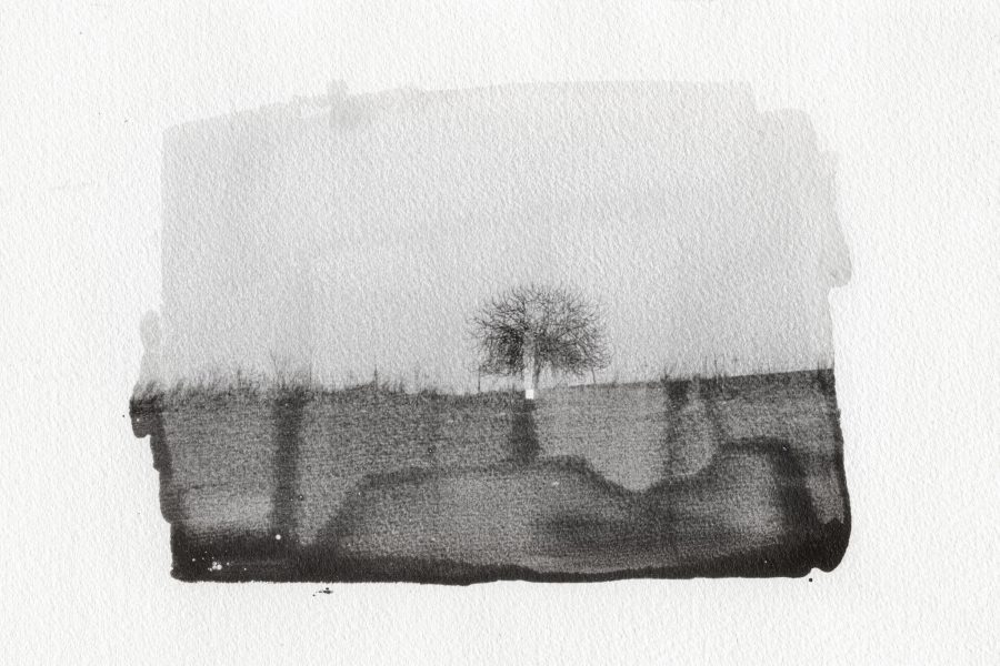 senza titolo_(di-vento)#11